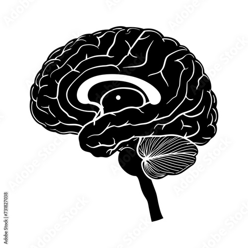 Silhouette for internal organs of the brain black color only