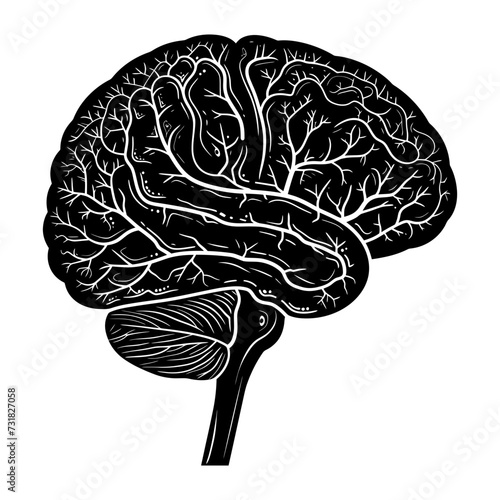 Silhouette for internal organs of the brain black color only