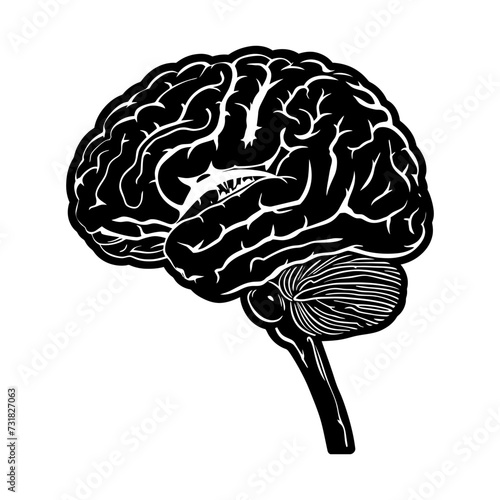 Silhouette for internal organs of the brain black color only