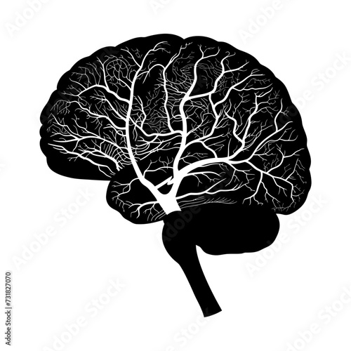 Silhouette for internal organs of the brain black color only