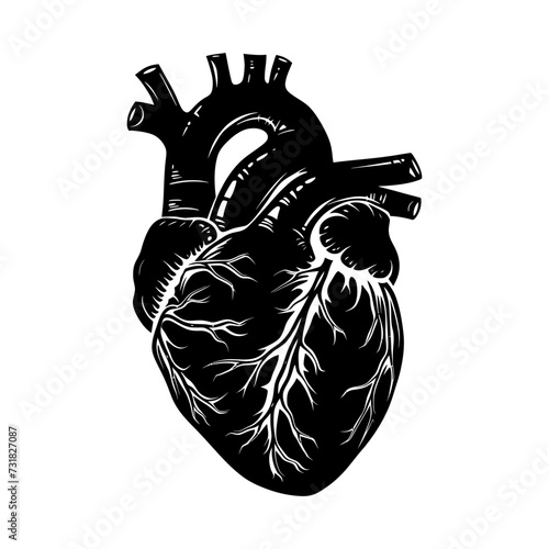 Silhouette for internal organs of the heart black color only