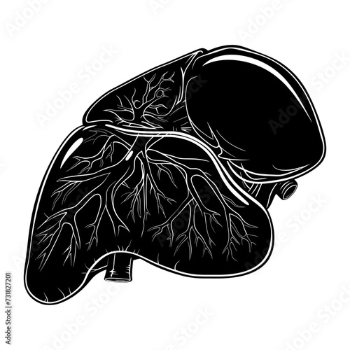 Silhouette for internal organs of the liver black color only