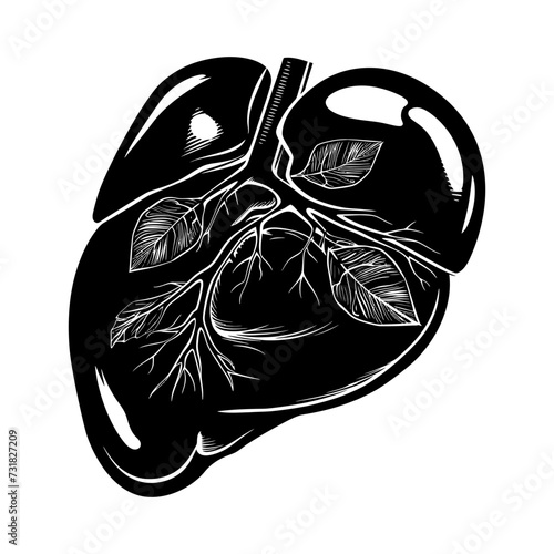 Silhouette for internal organs of the liver black color only