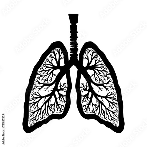 Silhouette for internal organs of the lungs black color only