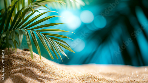 Palm leaves on the beach - Tropical background - Sunny atmosphere