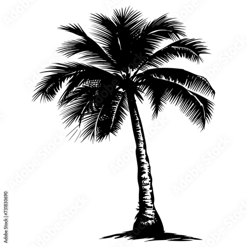 Silhouette coconut tree black color only
