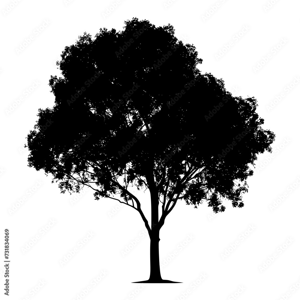 Fototapeta premium Silhouette tree nature black color only