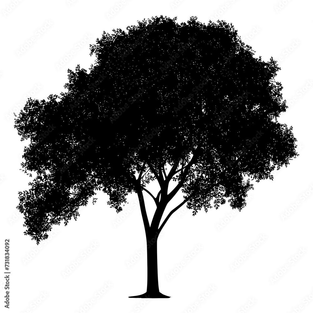 Fototapeta premium Silhouette tree nature black color only