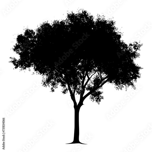 Silhouette tree nature black color only