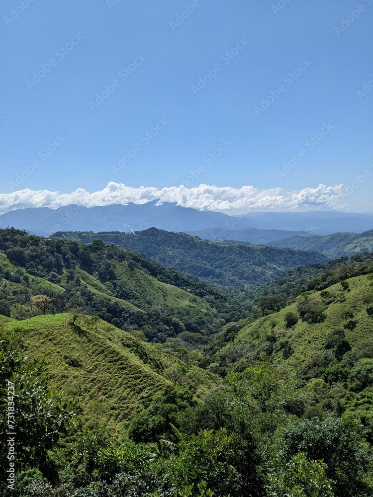 green hills and lush mountains with a blue sky above them