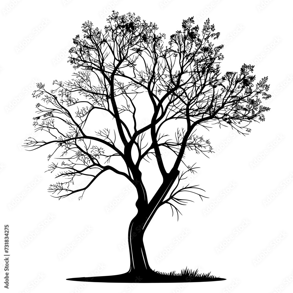Silhouette tree nature black color only Silhouette tree nature black color only