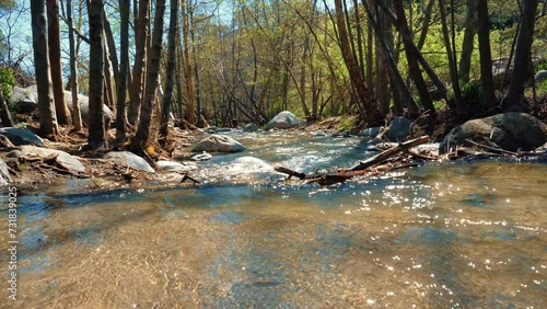 Forest river with water flowing down the rocks and a tree trunk in the background. Nature view in a mountain with water flowing down the river. Eaton Canyon Park, Pasadena. 4k, slow motion. photo