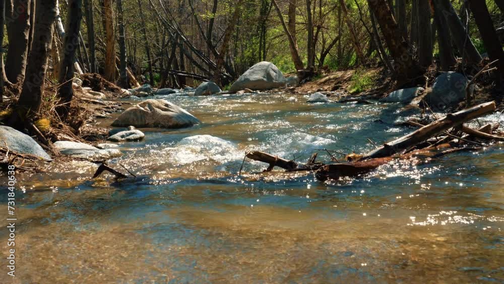 Water flowing through a river against a tree branch. Tree trunk in the middle of a river with water falling and rocks in the background. Mountain river on a sunny day. Eaton Canyon. 4k Water flowing through a river against a tree branch. Tree trunk in the middle of a river with water falling and rocks in the background. Mountain river on a sunny day. Eaton Canyon. 4k