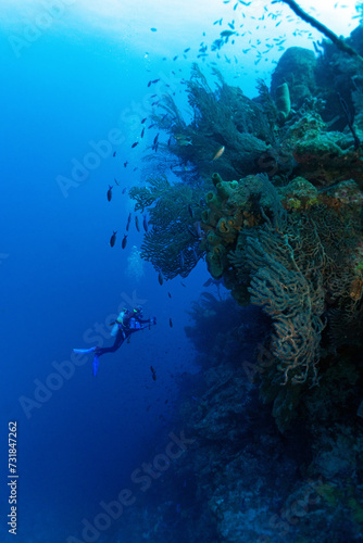 Grand Cayman Scuba Diving Photos