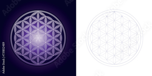 Flower of life, Sacred geometry