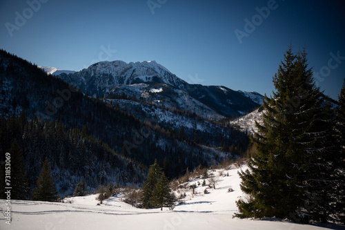 landscape of mountains in the winter