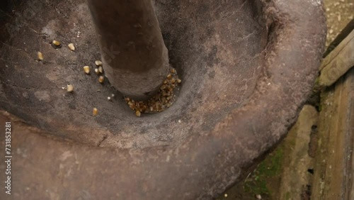 grinding corn kernels in a handmade wooden grinding mortar