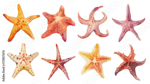 Set of starfish on a transparent background. Watercolor illustration. Clipart PNG