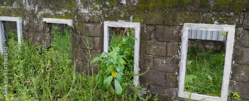 Cement fence wall with grass front