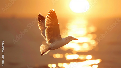 A majestic seagull basking in the warm glow of the sun soaring above the glistening ocean waters. © Justlight