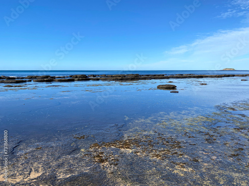Photography Shoreline of a beach at low tide covered with moss and lichen