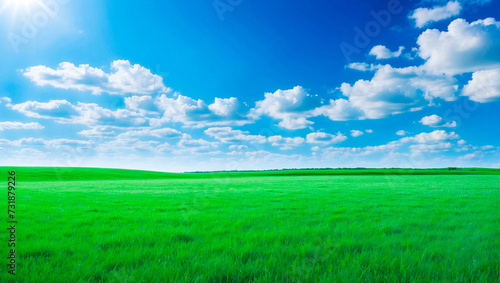 meadow  grassland  landscape agriculture lawn  field   sky  cloud   flower  nature  spring Background image of a vast green field under a bright blue sky. bright green grass Receives light well The ba