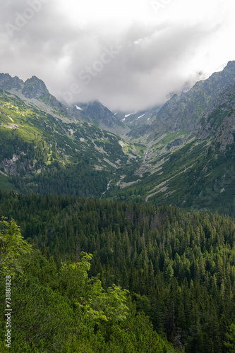 Cascades of mountain creek in High Tatras, Slovakia. Beautiful landscape of small waterfall or springs near Rysy mountain with green hills and coniferous trees.