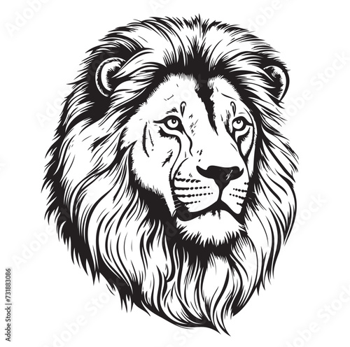 Fototapeta Naklejka Na Ścianę i Meble -  Proud lion head sketch. hand drawn. Wild animals