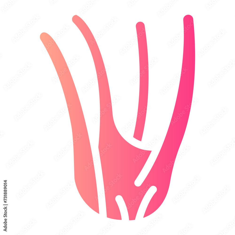 fennel gradient icon fennel gradient icon