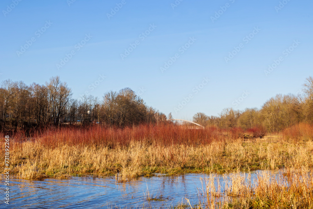 Bushes on a gravel bank in the river Lech near Augsburg on a clear winter's day with a bright blue sky