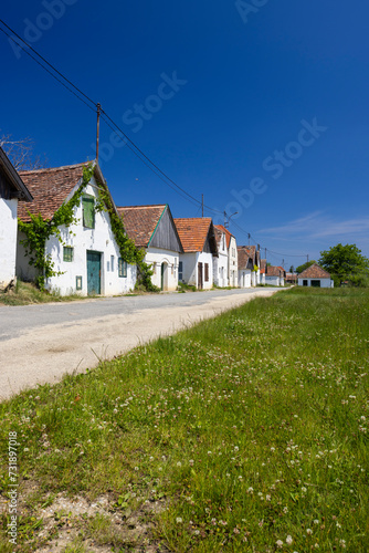 Wallpaper Mural Traditional wine cellars street in Diepolz near Mailberg, Lower Austria, Austria Torontodigital.ca