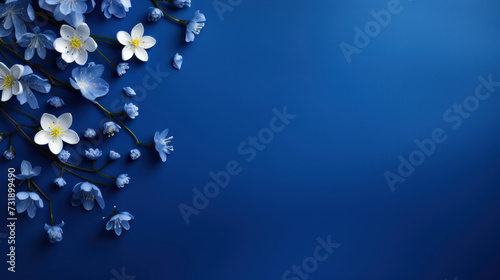 Beautiful cobalt blue background with spring cherry blossom branc flower as decoration and copy space