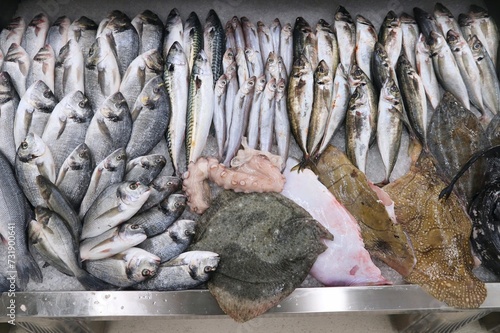 Fish market in Porto, Portugal
