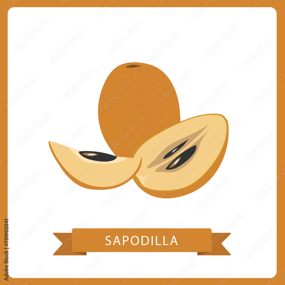 Sapodilla or Naseberry and slice. Cartoon isolated white, vector illustration. Sapodilla or Naseberry and slice. Cartoon isolated white, vector illustration.