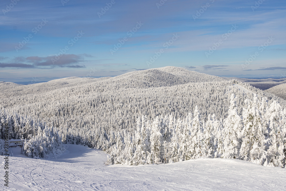 Obraz premium Winter Wonderland. Pristine Winter Panorama: Gentle Ski Slopes and Snow-Covered Trees under blue Sky, the Quintessence of Mont Tremblant Landscape. Laurentians, Quebec, Canada