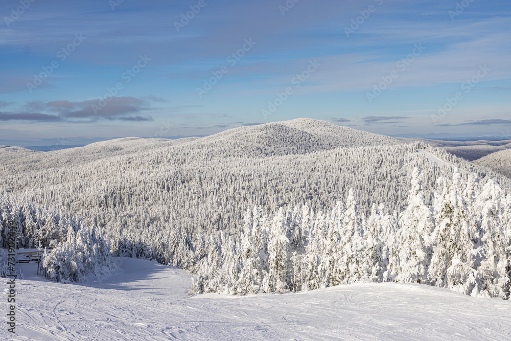 Winter Wonderland. Pristine Winter Panorama: Gentle Ski Slopes and Snow-Covered Trees under blue Sky, the Quintessence of Mont Tremblant Landscape. Laurentians, Quebec, Canada