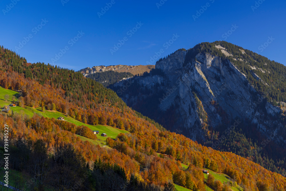 Typical landscape near Damüls, Bregenzer Wald, Bregenz district, Vorarlberg, Austria