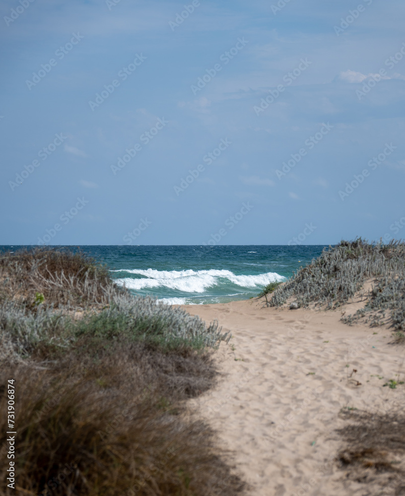 beach and sea beach and sea