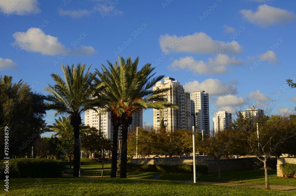 Modern residential building, tropical climate, palm trees, orange garden. Real estate in Israel.