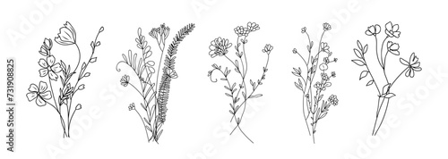 Wildflower line art bouquets set. Hand drawn flowers, meadow herbs, wild plants, botanical elements for arrangements, invitation, greeting cards, wall art, logo, tattoo design. Vector illustration. photo
