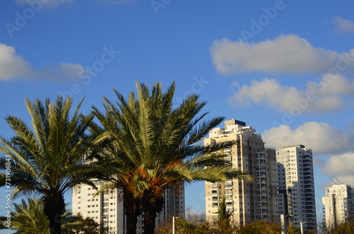 Modern residential building, tropical climate, palm trees, orange garden. Real estate in Israel. © ShU studio