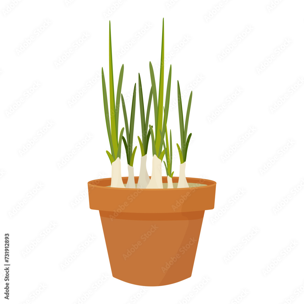 Pot with grown green onions, vector illustration