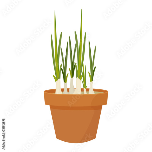 Pot with grown green onions  vector illustration