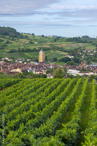Vineyards with Arbois town  Department Jura  Franche-Comte  France