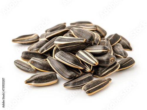 Sunfllower seed isolated on white background in minimalist style. 