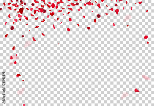 Red rose petals falling in the air on white romantic vector card. Heart wedding celebration design. Love backdrop