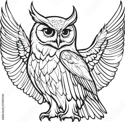 Hand-drawn a Owl image in black and white vector illustration coloring book with no background 