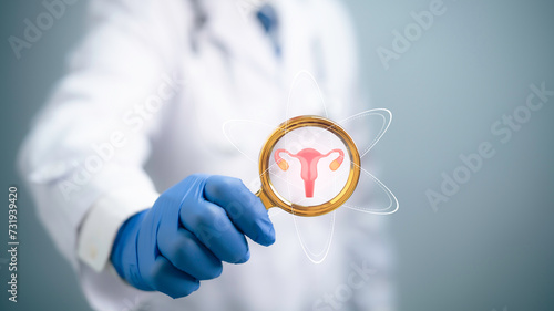 Medical worker holding virtual uterus reproductive system. Woman health concept, PCOS, ovary gynecologic and cervix cancer. Medical examination, women's consultation, obstetrics, pregnancy. photo