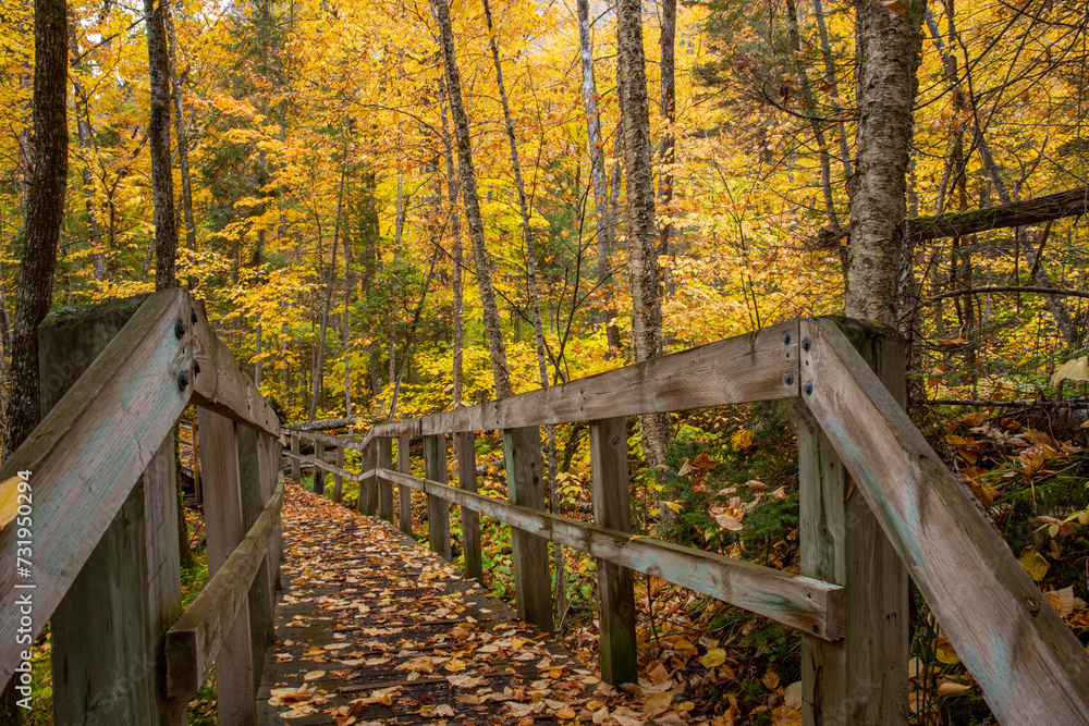 New England-Autumn Walkway