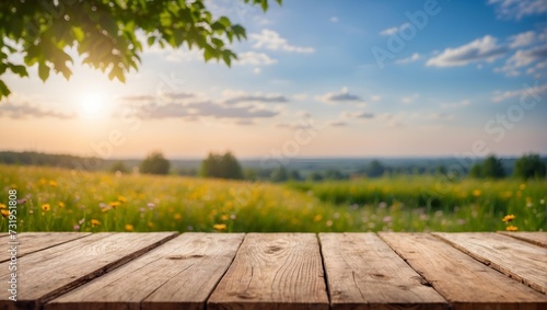 Empty wooden table with blurred summer meadow background . Product display , presentation ideas